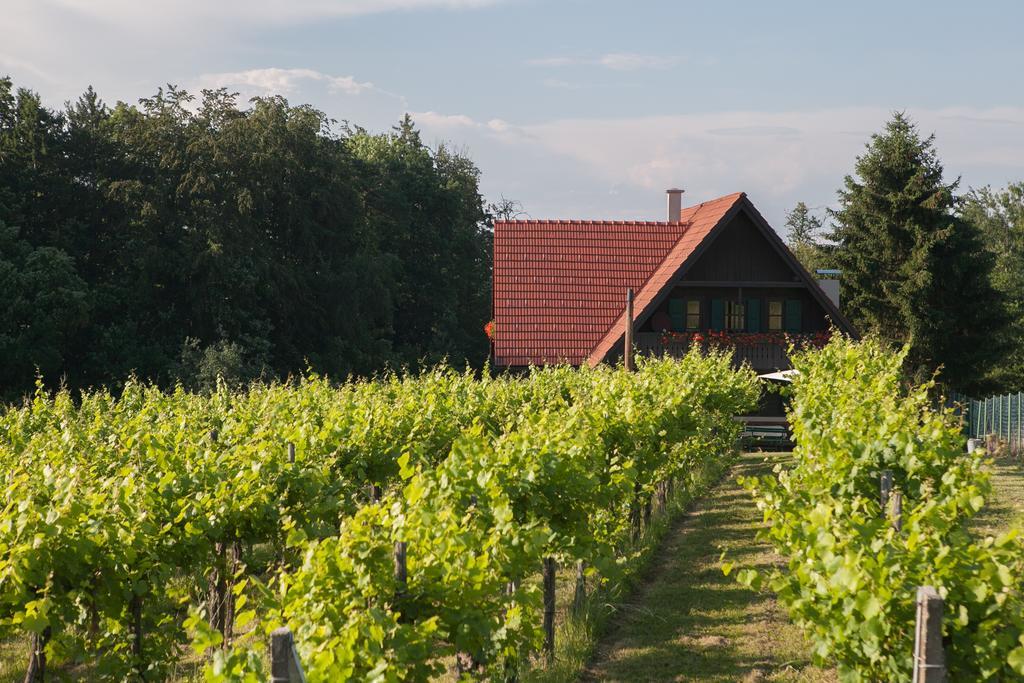 Ferienhaus Neubauer Spielfeld Exterior foto